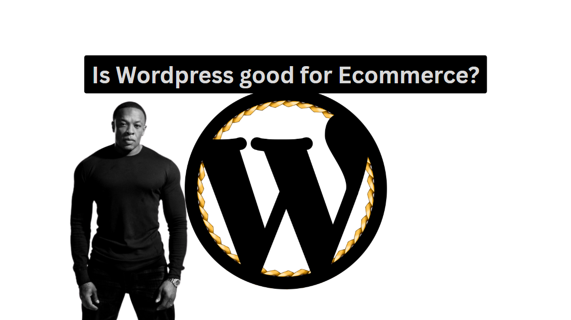 website designers who specialise in WordPress