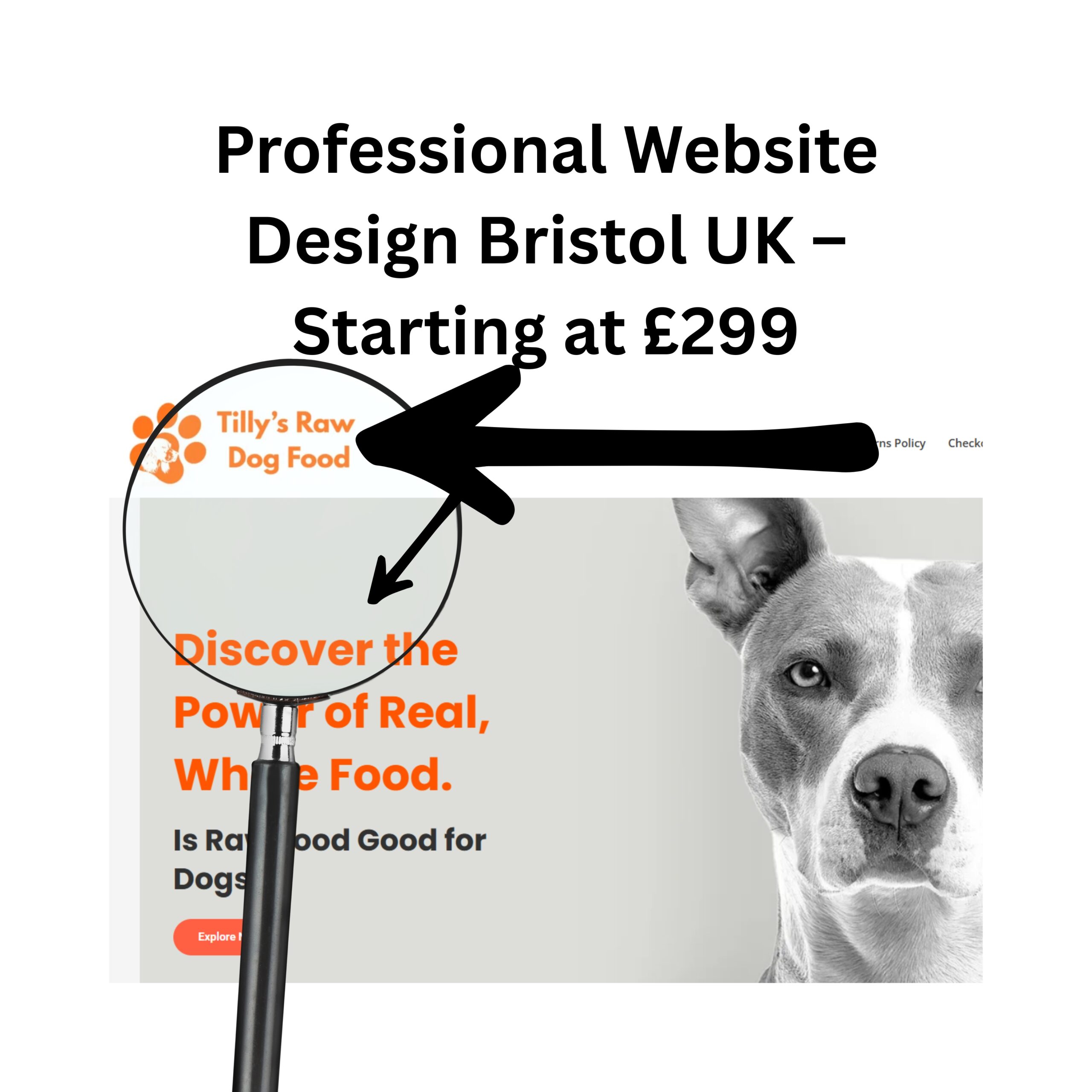 Professional Website Design